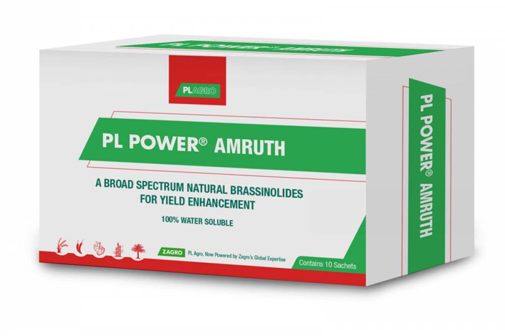 PL Power® Amruth